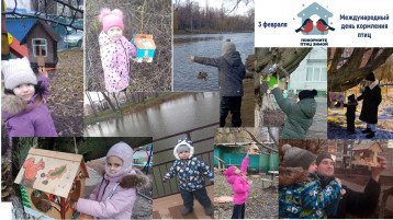Международный день кормления птиц Международный день кормления птиц.