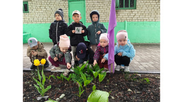 Цветочный квест Цветочный квест.